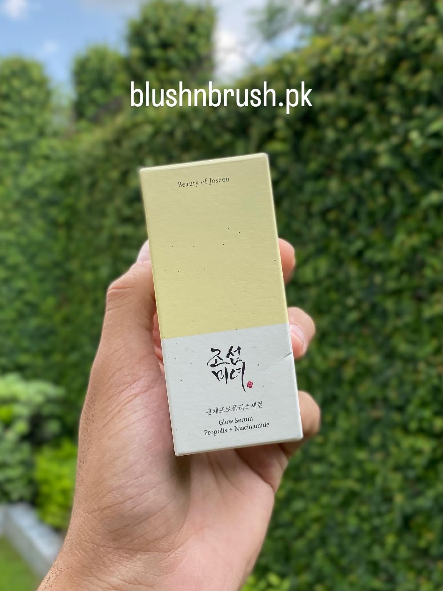 Beauty of Joseon Glow Serum: Propolis + Niacinamide