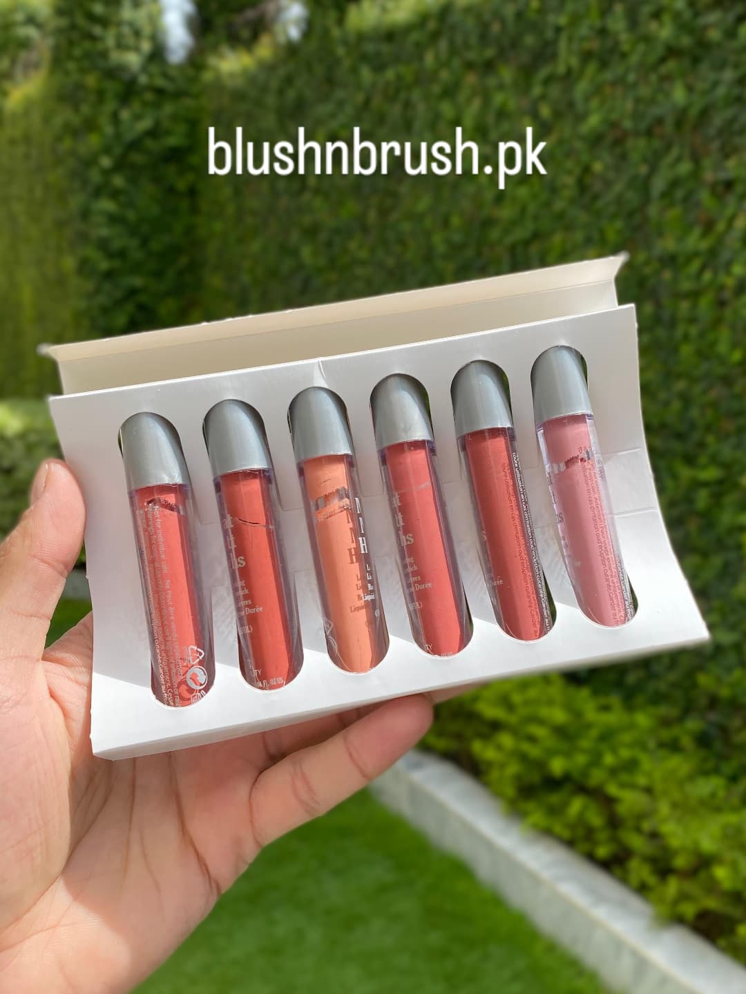 Meat Matt Haghs Gloss – Pack of 6