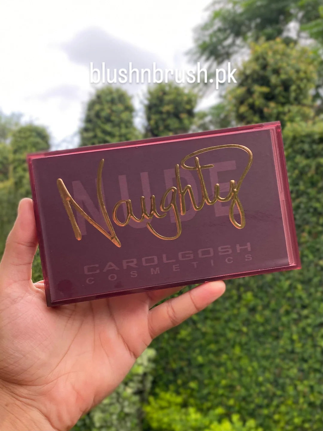 Naughty Carolgosh Cosmetics Eyeshadow Palette - 18 Shades